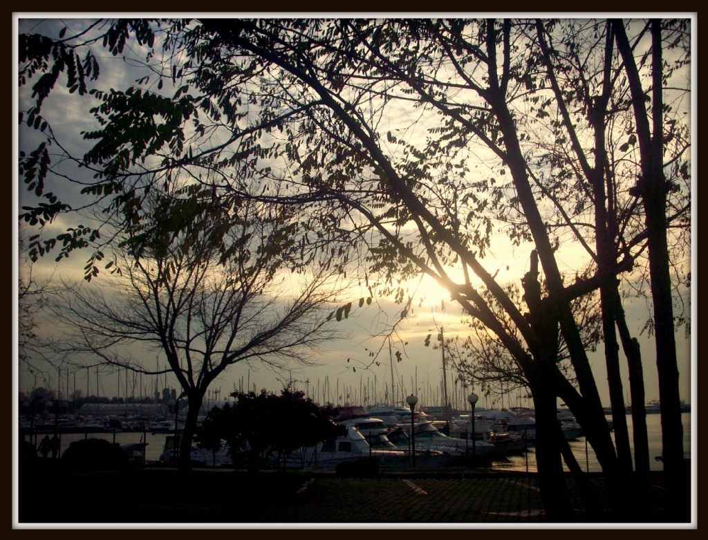 Fenerbah�e .Yat liman�...