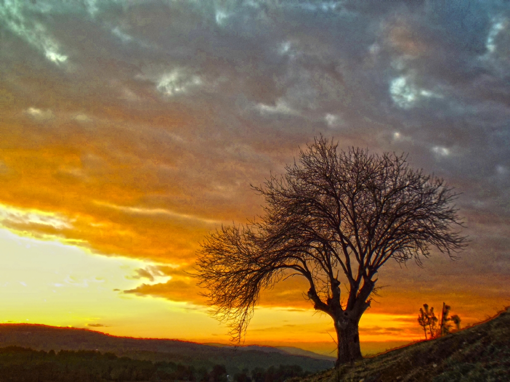 Ara / Kastamonu Gnbatm..