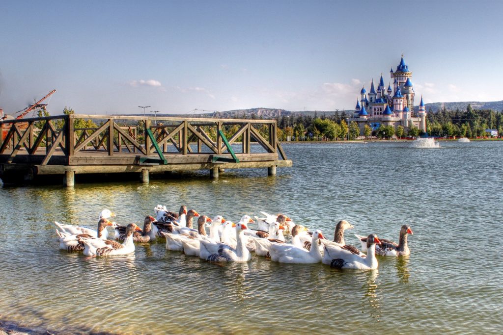 bir kaz s�r�s� g�rd�m sank�:)