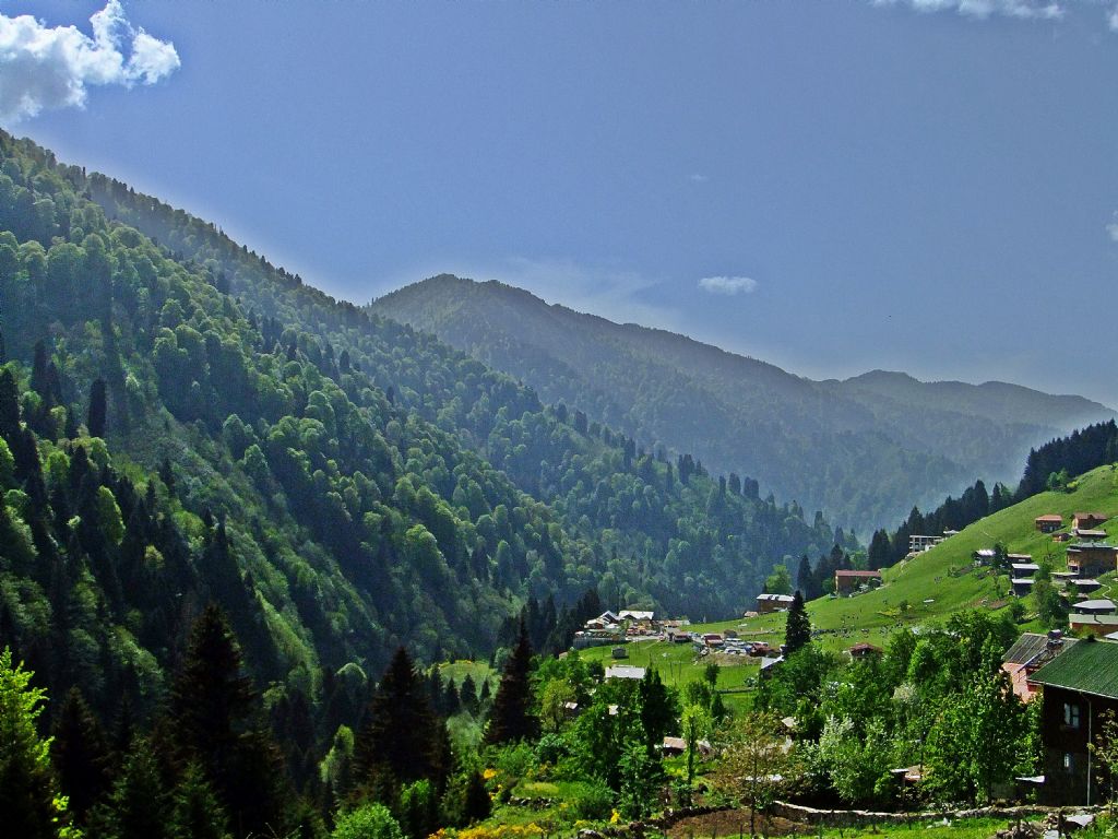 Bir bakadr benim VATANIM !