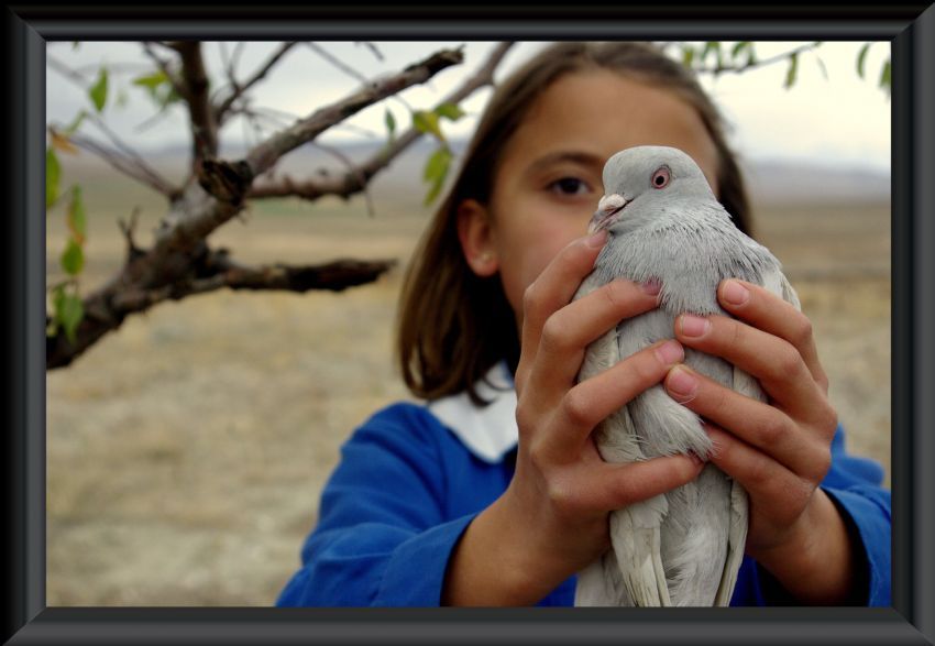 YAPILAMAMI LERDEN BR !