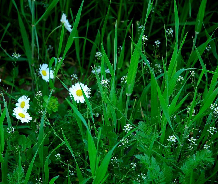 gzlerim nisandr artk...