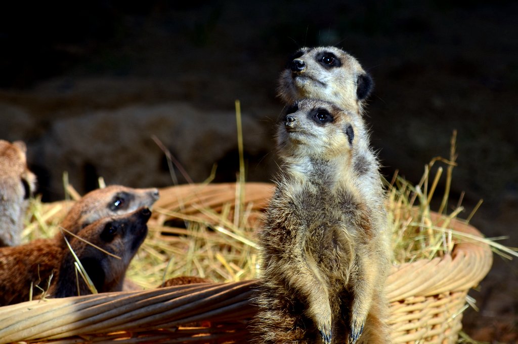 Hayata Bak���m�z Farkl� ! :)