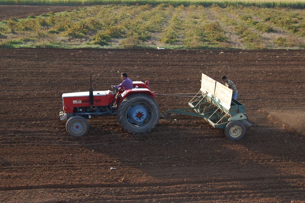 karnn yardm kazmaynan, belinen...