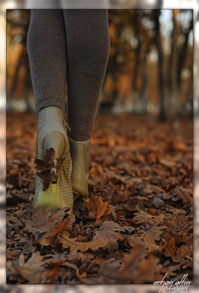 Sonbahard� gidi�in...