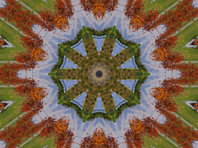 Bilin Bakal�m Bu Ne?