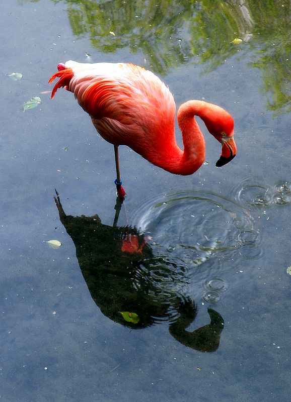 1 gnlgne haccker olmak