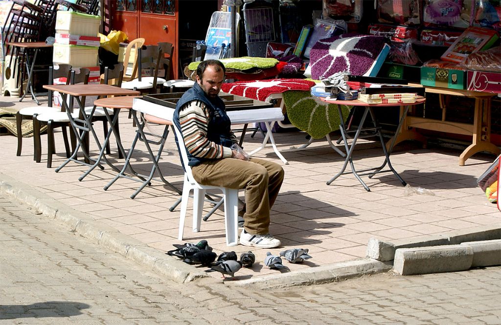 Pazarc Esnafnn Gvercin Sevgisi