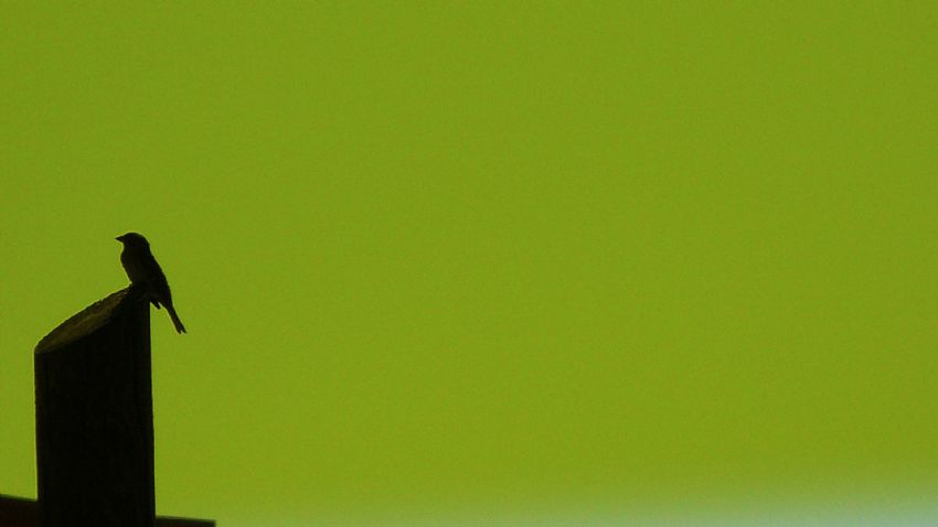 beni yalnz braktn!!!