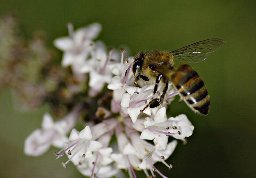 Bu da bir denemedir :)