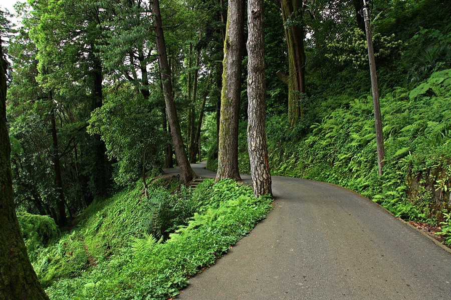 Botanik park...devam...