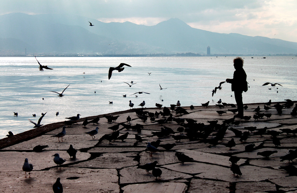 Yanl�zl���n h�z�n�