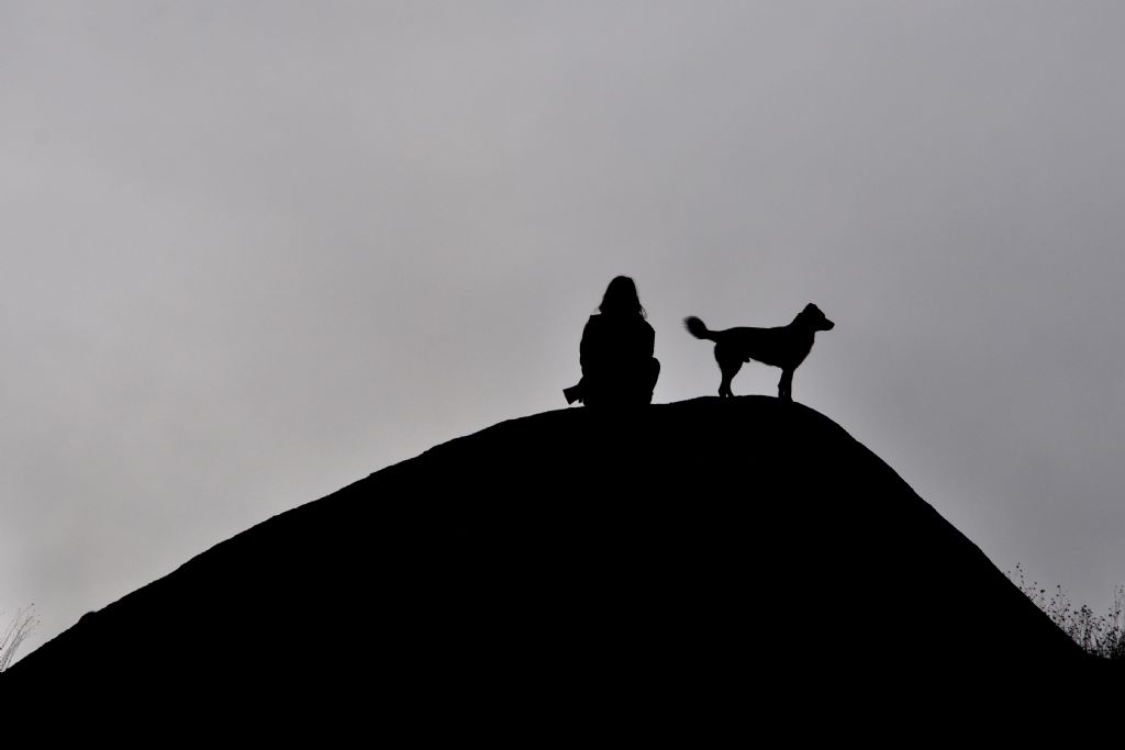 tepedeki siletler...