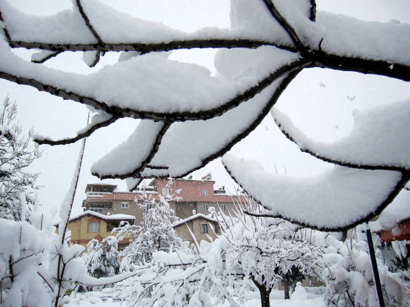 Denizlide kar ya����