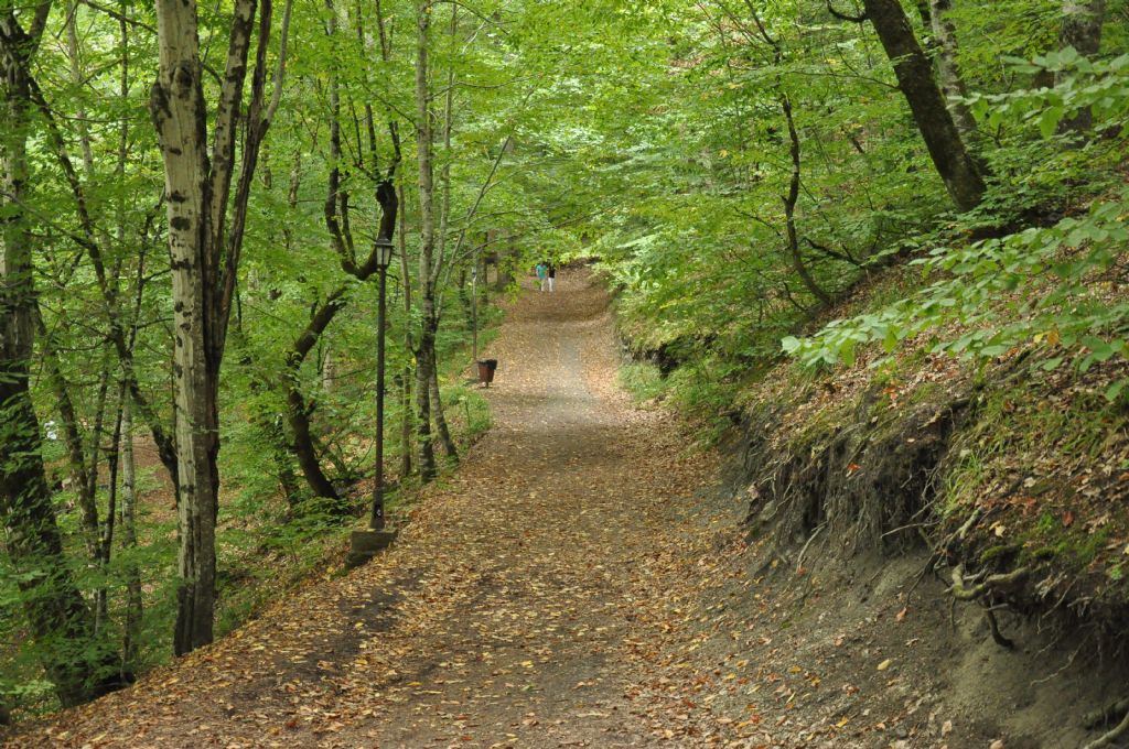 yrnecek engzel yol