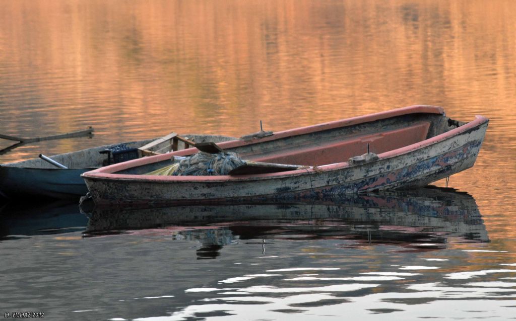 Yaln�zl���n sonu