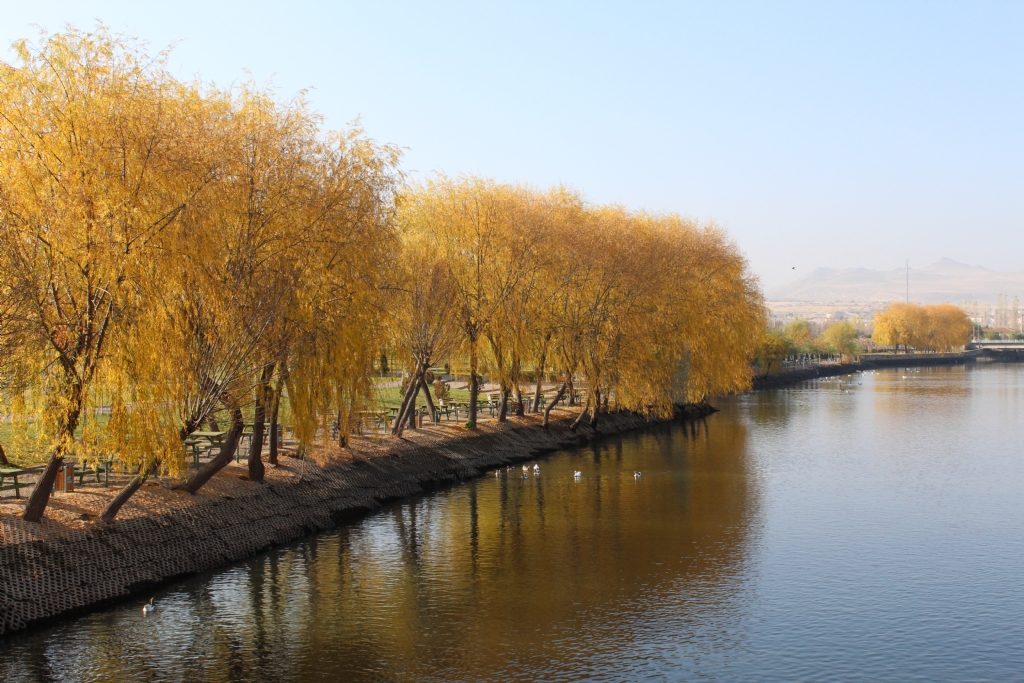 Sonbahar Yaln�zl���