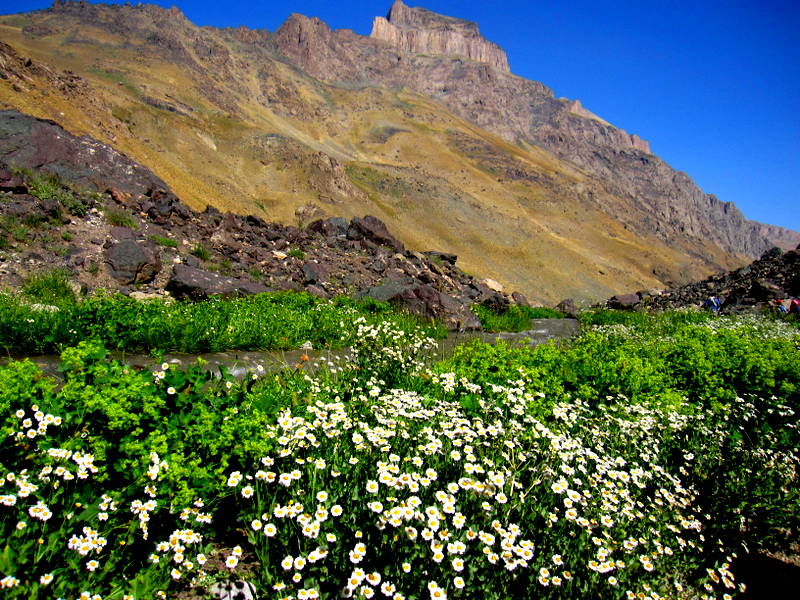 Cilo da�lar�, Hakkari