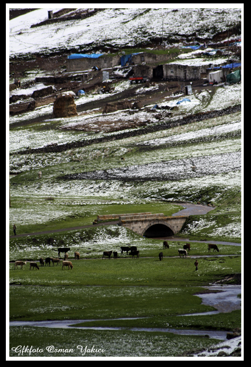 ardahan da mays kar 1