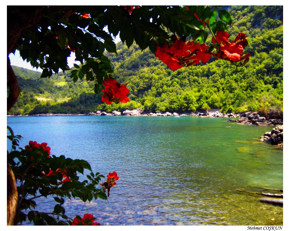 Gideros(cide)/KASTAMONU