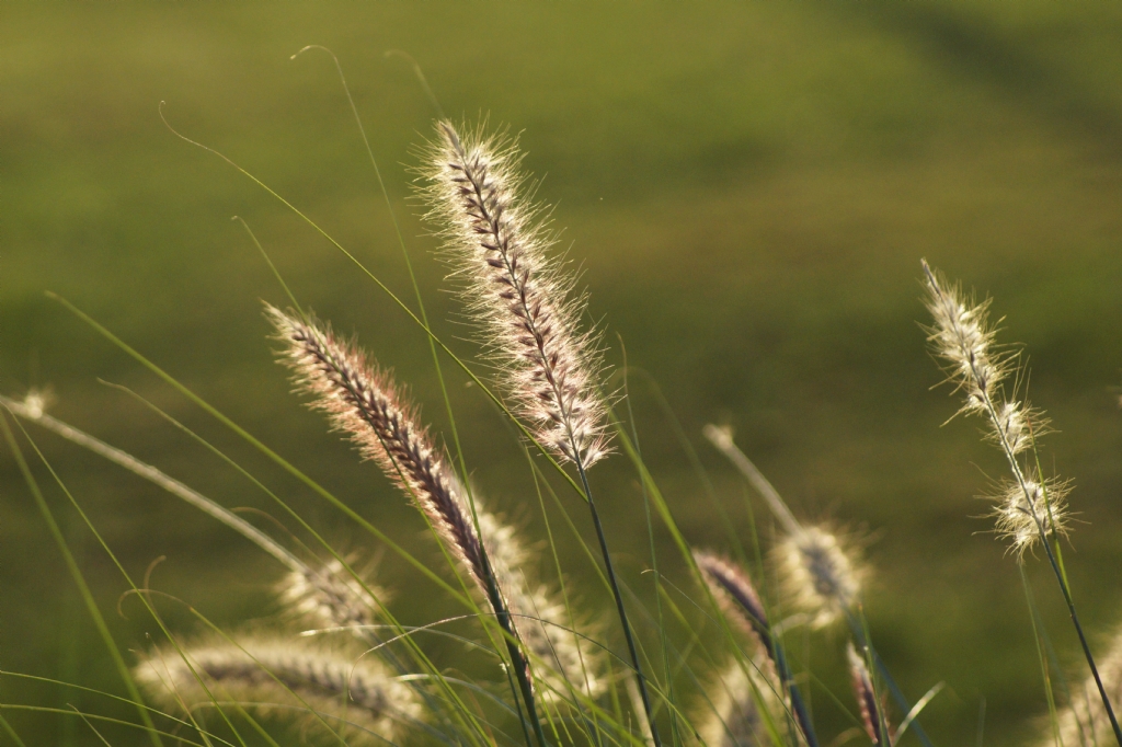 b�rak! ���k sana yol g�stersin..