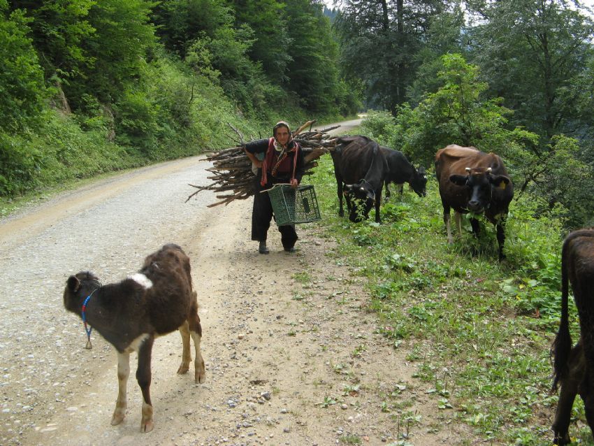 Karadeniz Kadn...