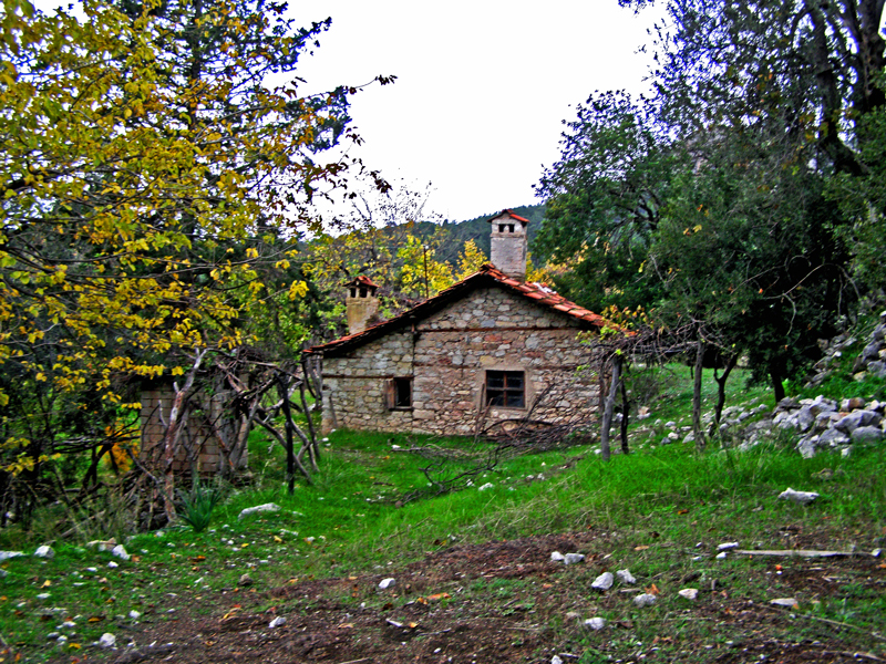 Baba evi