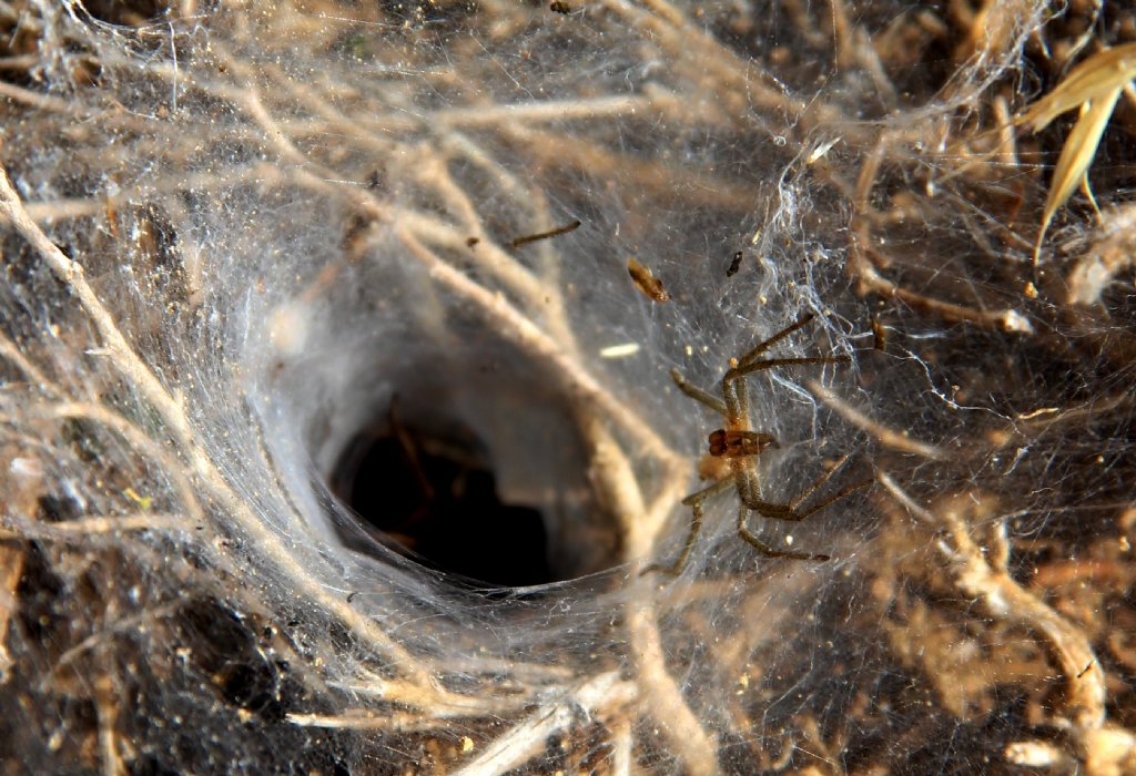 �r�mcek ve A��