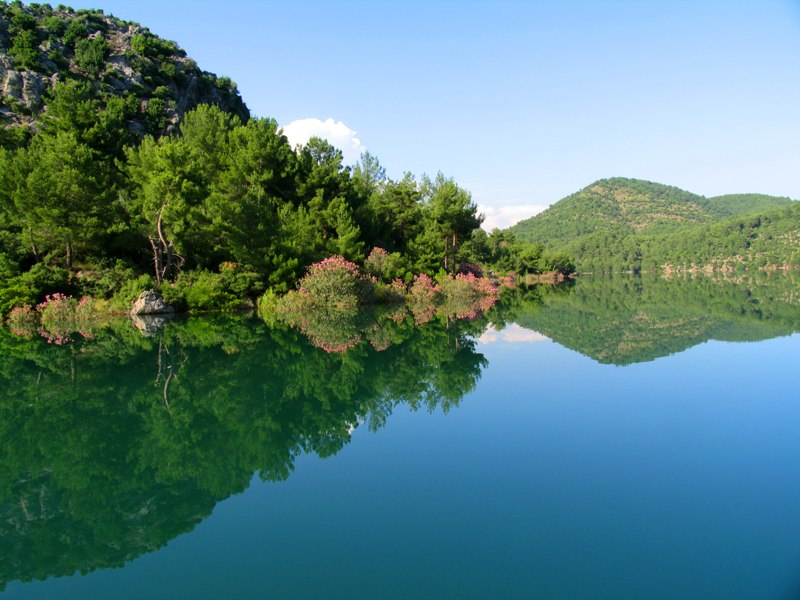 kozan yansımaları