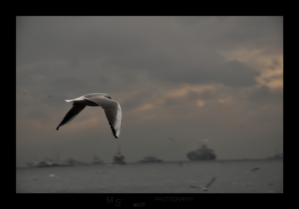 Giden gitmi�tir, kalan sa�lar bizimle.