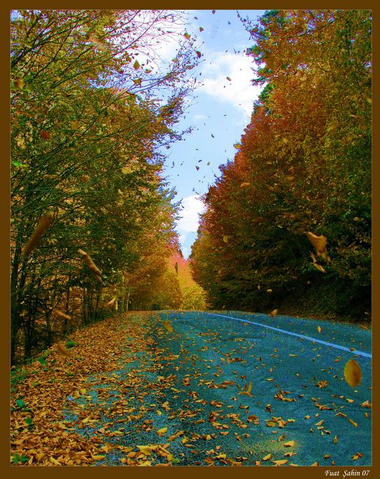 Yalnzlm yollarma pusu kurmu beklemekte...