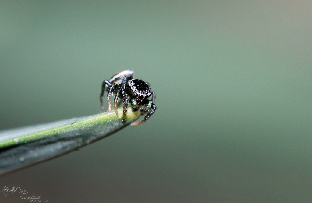 Yolun sonu u�urum...