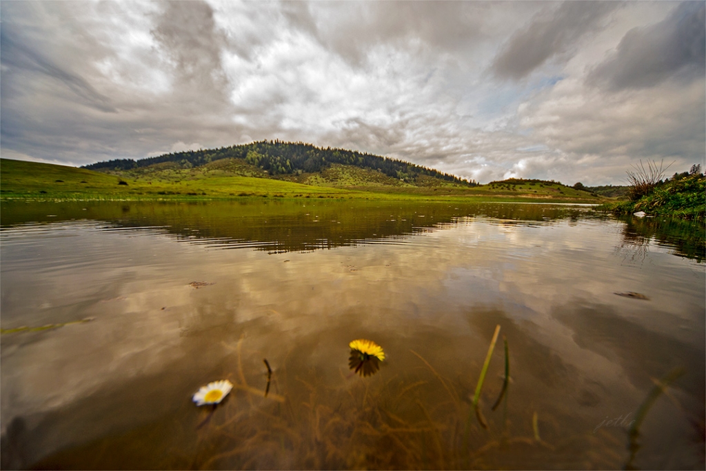 Baharn bir yan sar bir yan beyaz