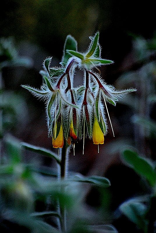 Memleket Hazineleri  ...!!!!!