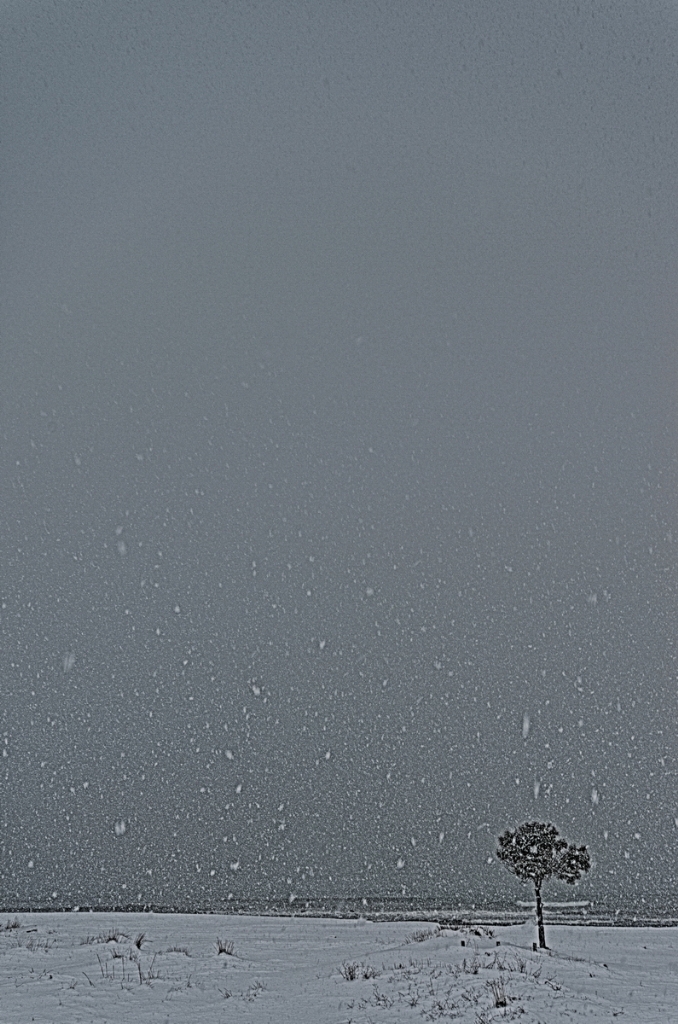 Yoksun Buralarda :( (2)