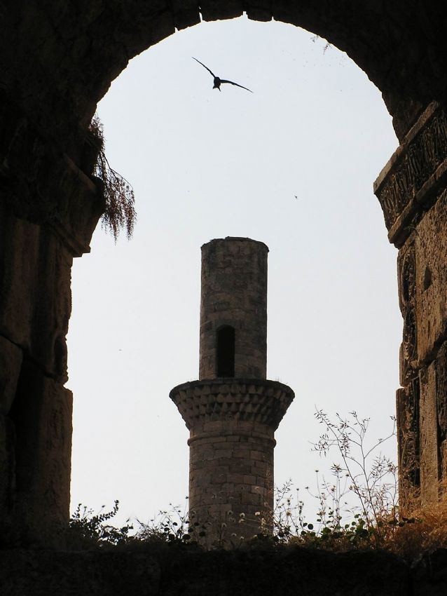 Kesik mnarede ku kanad