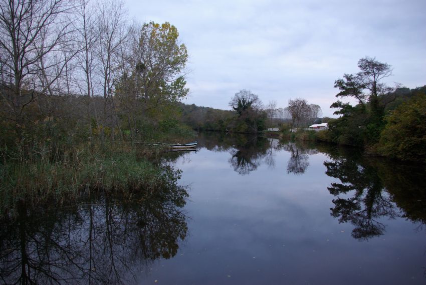 Suya d��en sonbahar