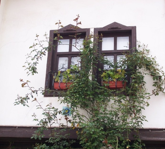 bahar bekliyen pencereler