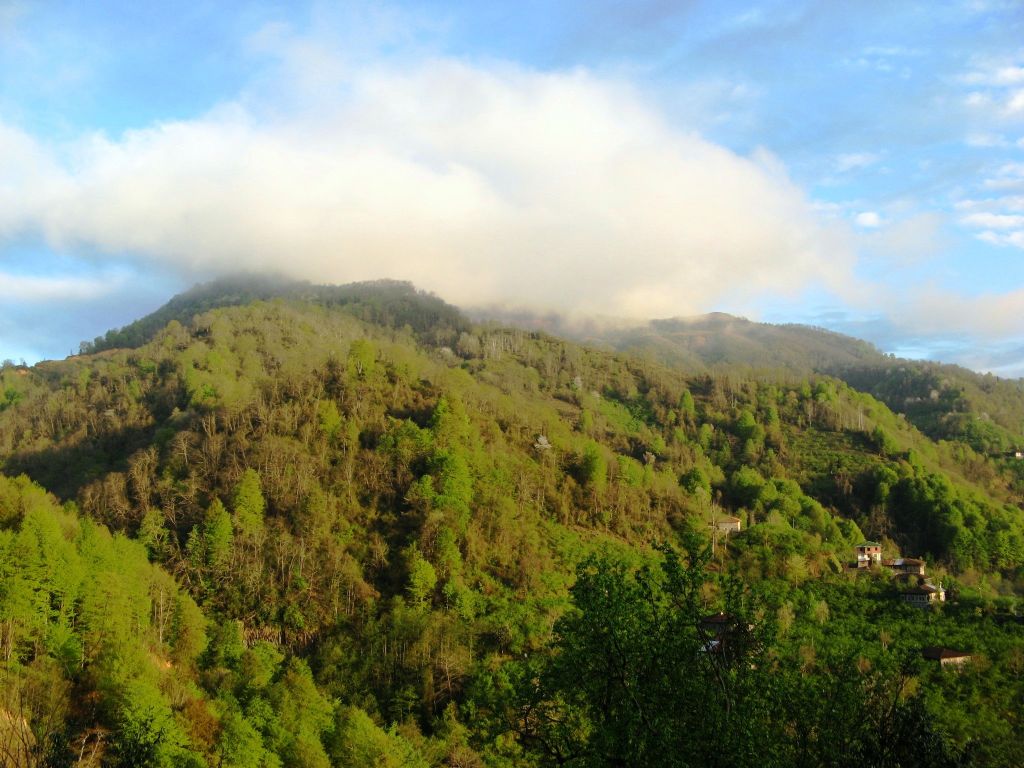 Dumanl� Da�lar...