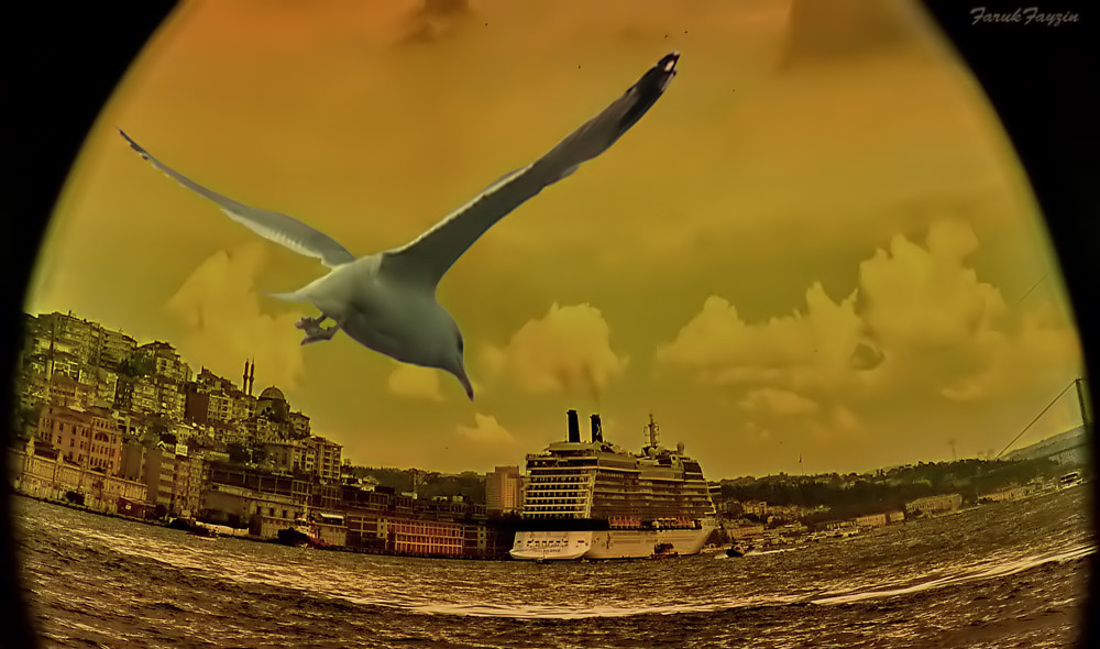 �STANBUL KARELER�