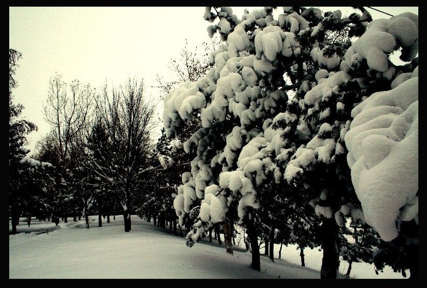 Erzurum da kar.