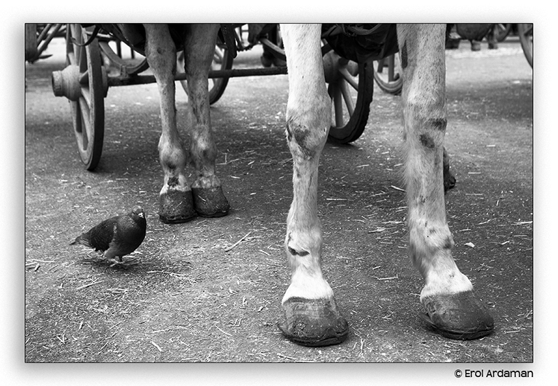 Zamana direnen bacaklar..