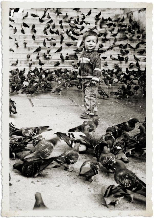 G�vercinler ve �ocuk