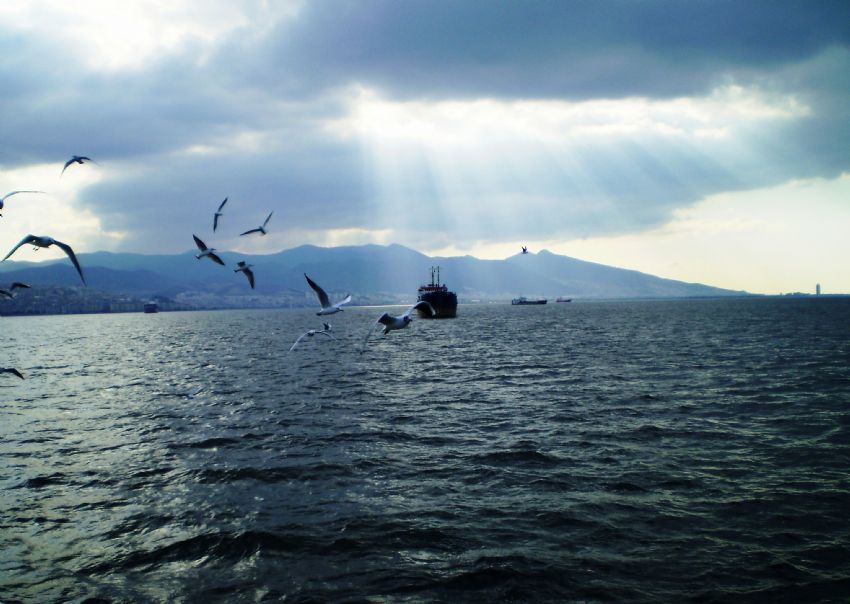 Martlar,deniz ve yol almakta bir gemi...