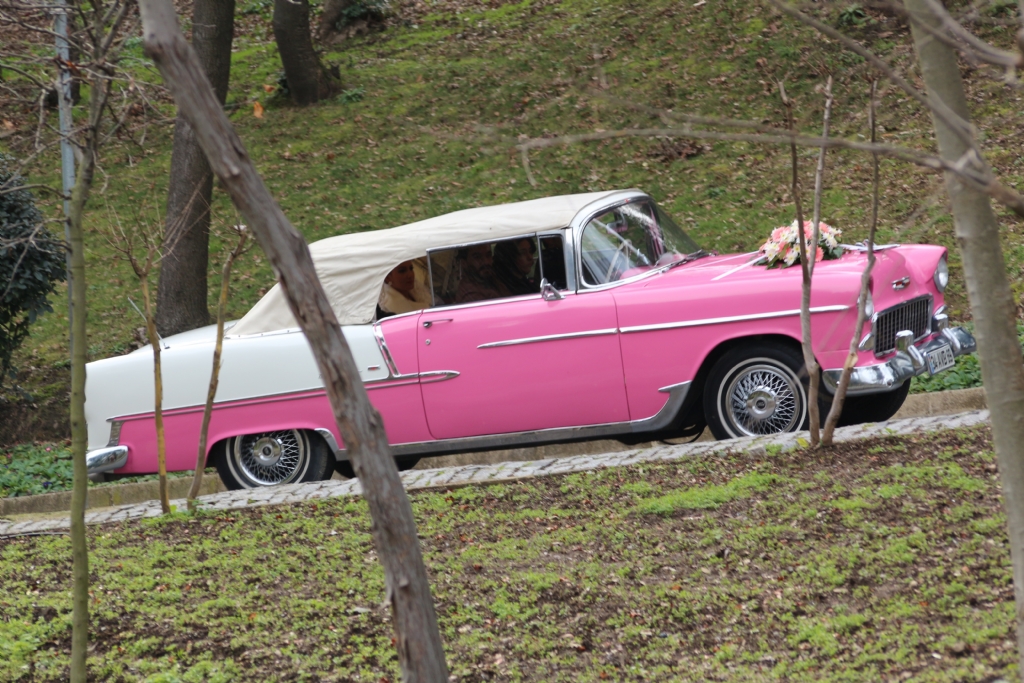 Evliliin en renkli hli 