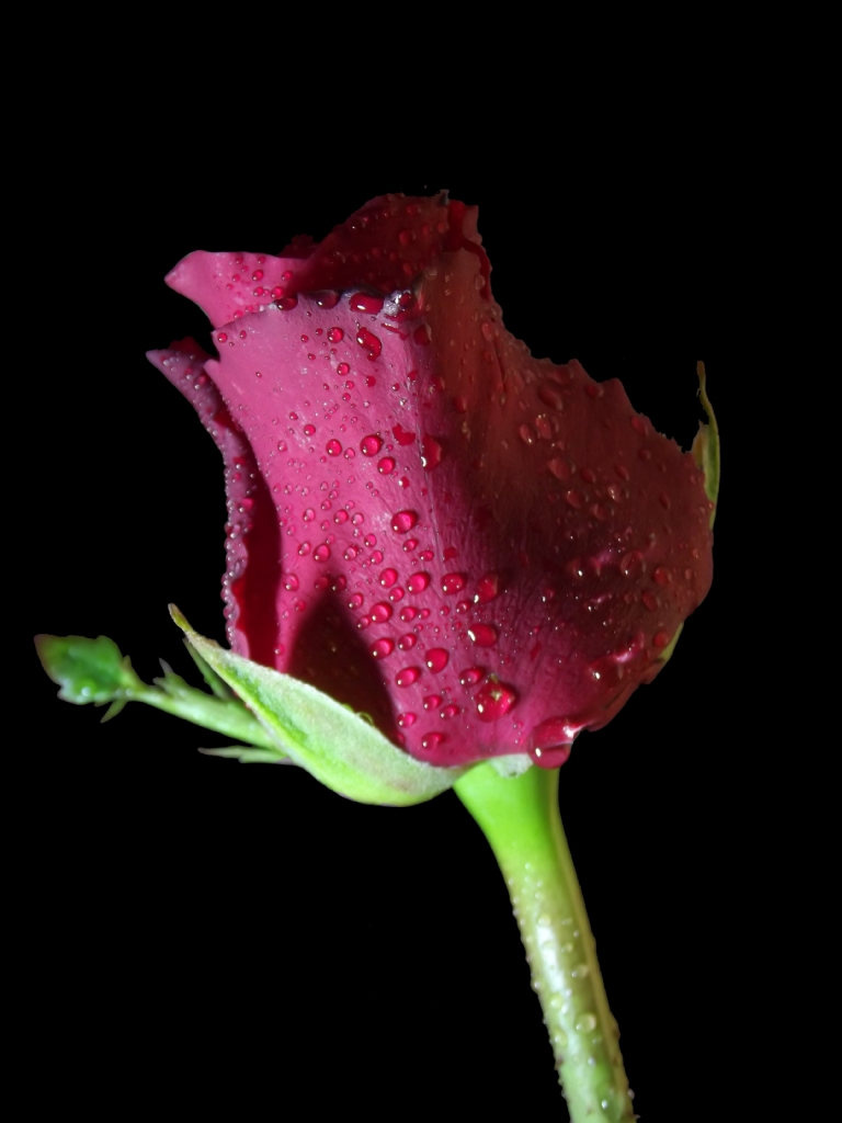 k�rm�z� g�l 3