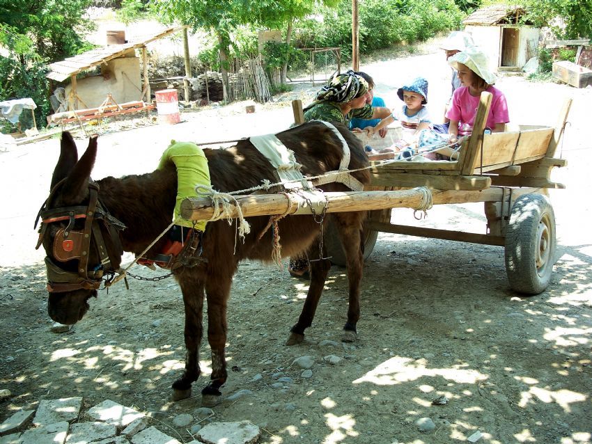 eek arabas ve ocuklar