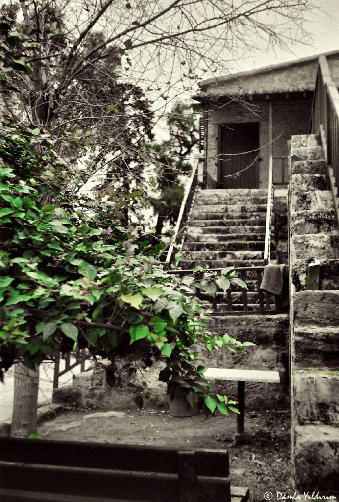 Hayat devam ederken...