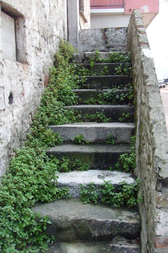 hayat hep basamak basamak....