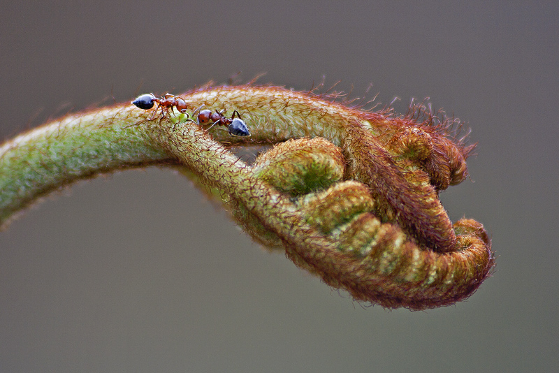 Sevgi paylamaksa eer